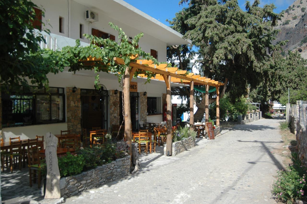 Pachnes Bed And Breakfast Agia Roumeli Exterior foto